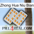 Zhong Hua Niu Bian cialis4